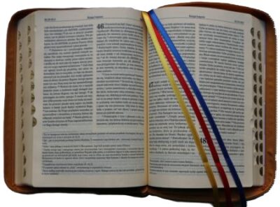 Pismo Święte ST i NT/Vocatio/zamek, skóra, paginatory, karmelowa/Biblia Pierwszego Kościoła